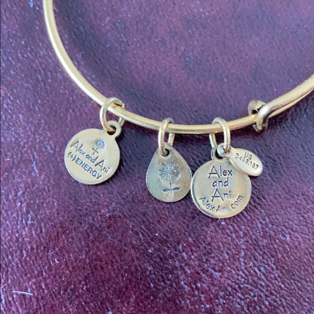 Alex & Ani bracelet w/ FRIEND charm - Picture 5 of 5